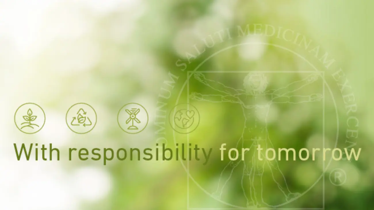 Mipm nachhaltigkeit grafik web